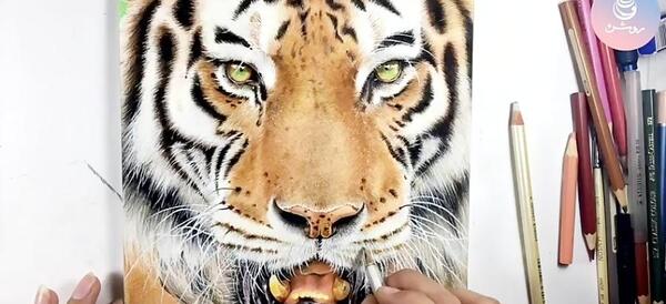 عکس نقاشی جنگل حیوانات با مداد رنگی