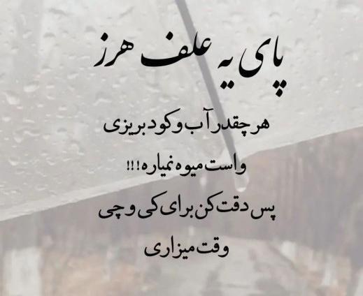 عکس نوشته پوچی زندگی