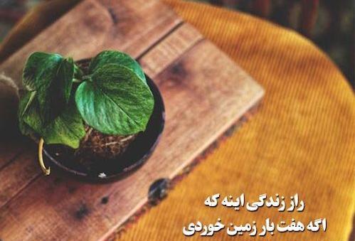 عکس نوشته زندگی خیلی سخته