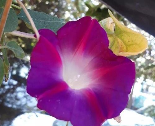 عکس منظره بدون نوشته