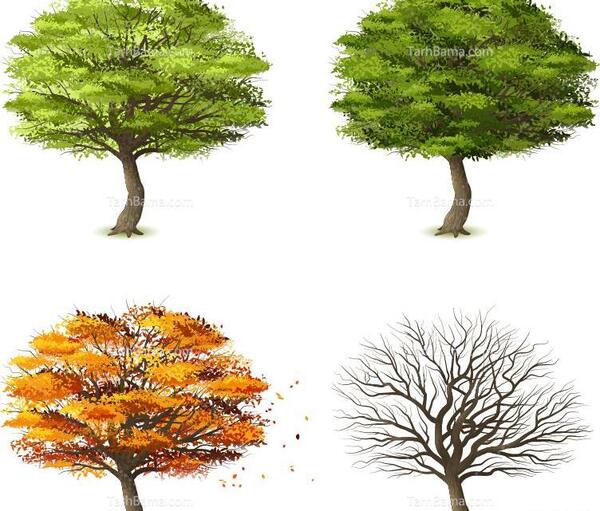 عکس نقاشی چهار فصل حرفه ای
