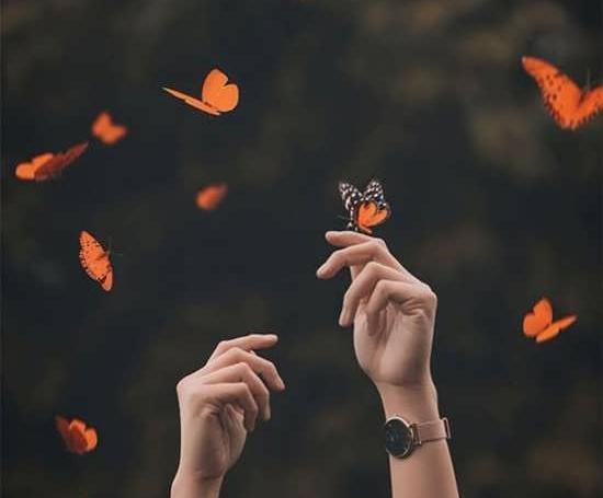 عکس قشنگ بدون نوشته