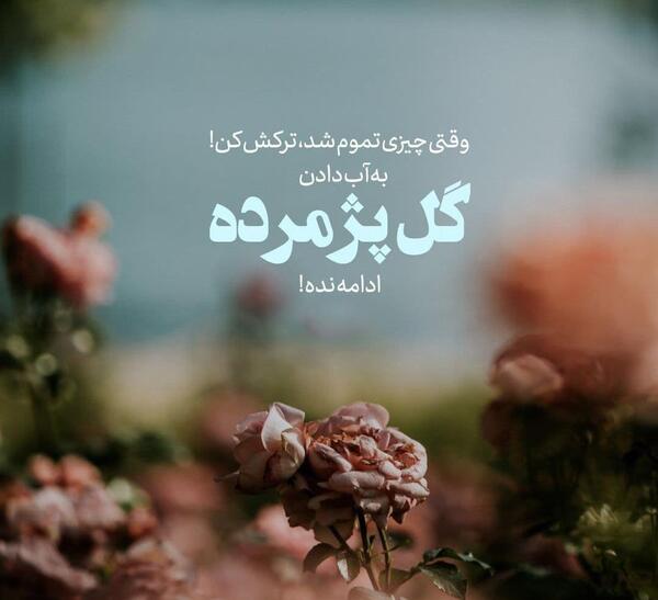 عکس نوشته قدر زنتو بدون