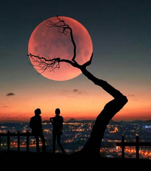 عکس پروفایل جدید بدون نوشته