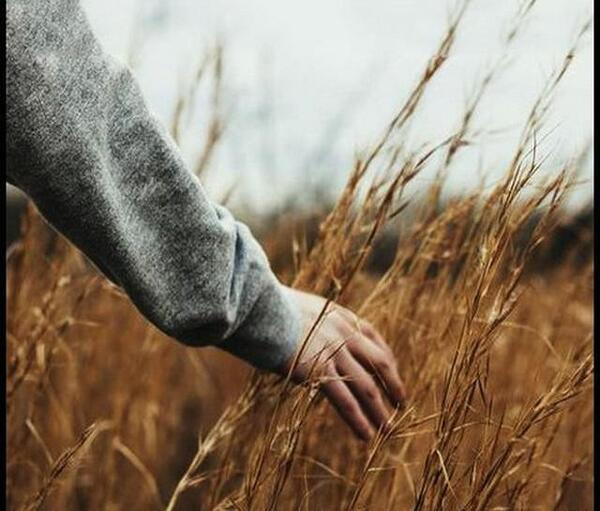 عکس پروفایل بدون نوشته دخترونه