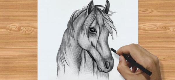 عکس نقاشی حیوانات ساده سیاه قلم