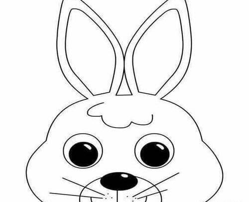 عکس نقاشی خرگوش برای کلاس اول
