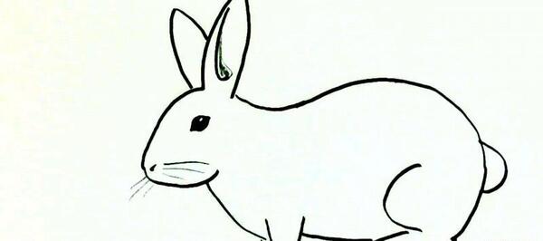 عکس نقاشی خرگوش کودکانه مرحله به مرحله
