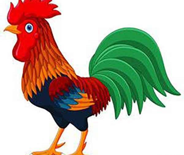 عکس نقاشی خروس با دست