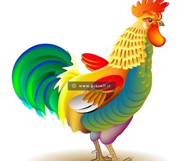 عکس نقاشی خروس رنگی