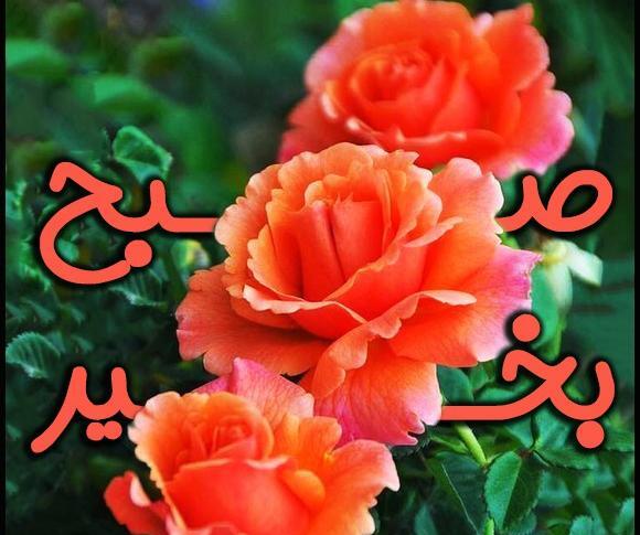 عکس نوشته صبح بخیر با گل