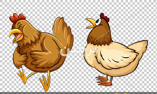 عکس نقاشی خروس و مرغ