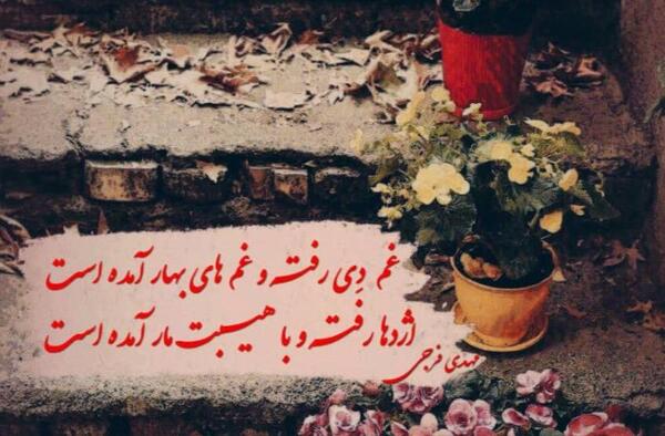 عکس گل با نوشته غمگین