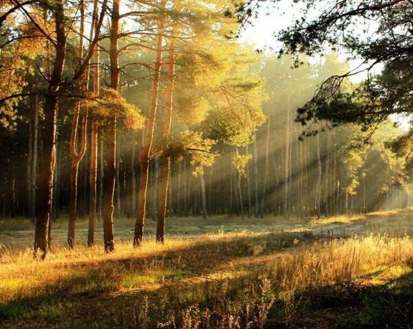 عکس طبیعت با نوشته