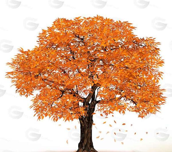 عکس نقاشی درخت پاییزی با مداد رنگی