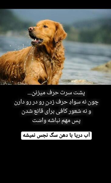 عکس نوشته آب دریا با دهن سگ کثیف نمیشه