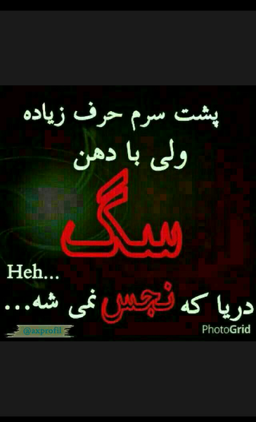 عکس نوشته اب دریا با دهن سگ نجس نمیشه