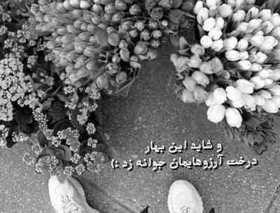 عکس نوشته حالم با تو خوبه