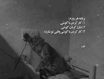 عکس نوشته حال دلم با تو خوشه