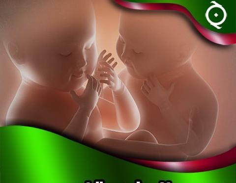 عکس نوشته بارداری دوقلویی