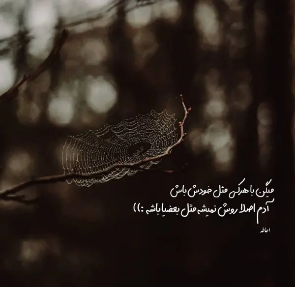 عکس نوشته با هرکی مثل خودش رفتار میکنم