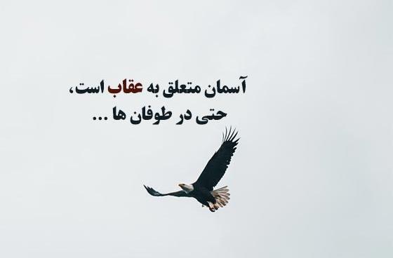 عکس نوشته با تصویر عقاب