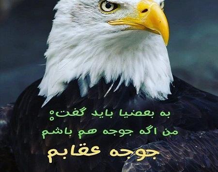 عکس نوشته با تصویر عقاب