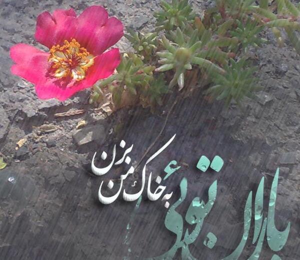 عکس نوشته بزن بارون