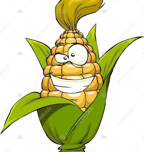 عکس نقاشی ذرت برای پیش دبستانی
