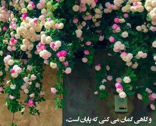عکس نوشته ی گاهی گمان نمیکنی و میشود