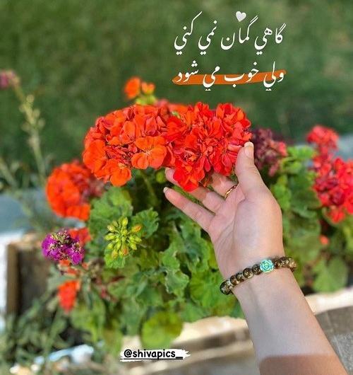 عکس نوشته ی گاهی گمان نمیکنی و میشود