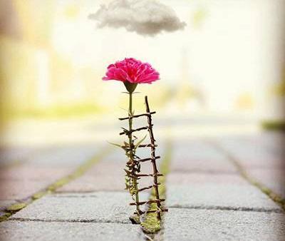 عکس نوشته زندگی میگذره گاهی باب دلت
