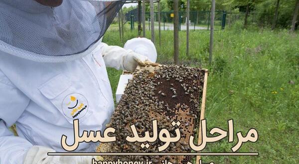 عکس نقاشی زنبورعسل ساده مرحله به مرحله