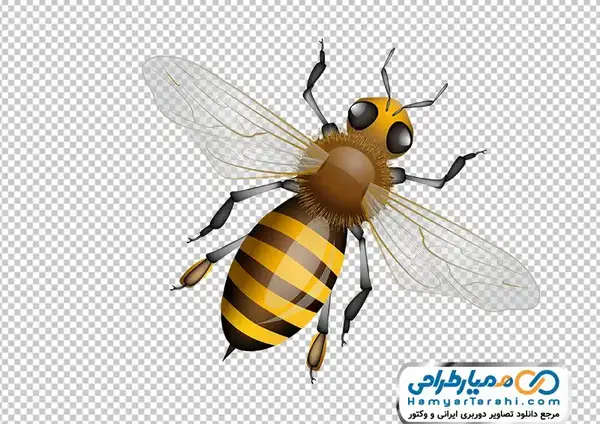 عکس نقاشي زنبورعسل