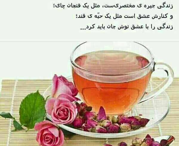 عکس نوشته زندگی را با عشق نوش جان باید کرد