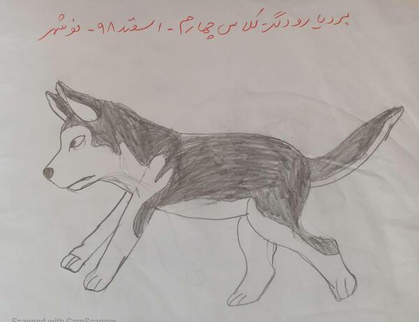 عکس نقاشی سگ وحشی