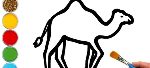 عکس نقاشی شتر واقعی