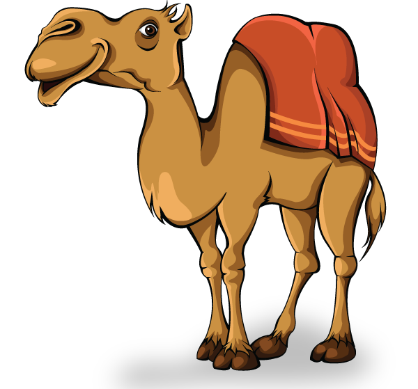 عکس نقاشی شتر واقعی