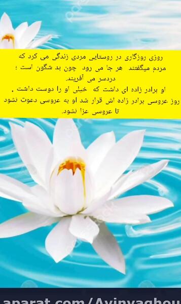 عکس نقاشی ضرب المثل دسته گل به آب دادن