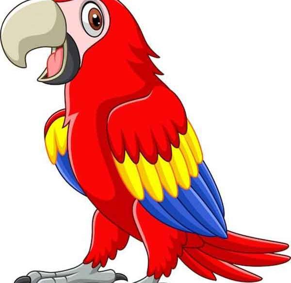 عکس نقاشی طوطی زیبا