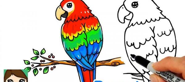 عکس نقاشی طوطی رنگی