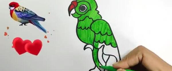 عکس نقاشی طوطی رنگی