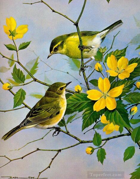 عکس نقاشی طوطی رنگی