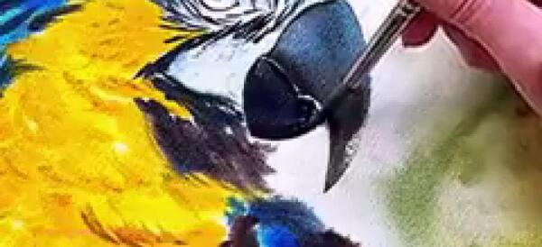 عکس نقاشی طوطی واقعی