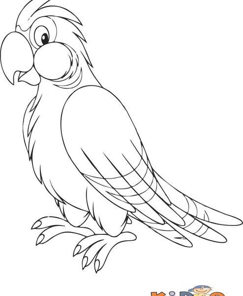 عکس نقاشی طوطی کودکانه کوچک
