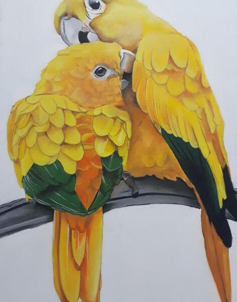 عکس نقاشی طوطی کودکانه مرحله به مرحله