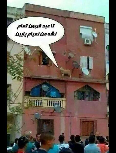 عکس نوشته سال داره تموم میشه