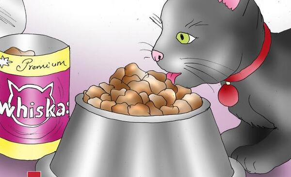 عکس نقاشی ظرف غذای گربه