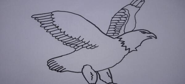 عکس نقاشی عقاب ساده
