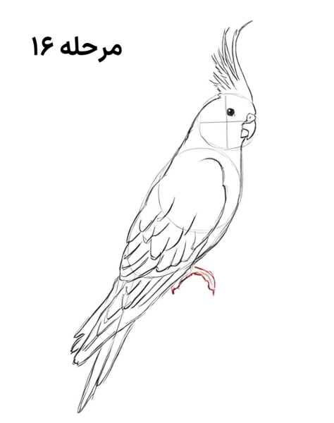 عکس نقاشی عروس هلندی